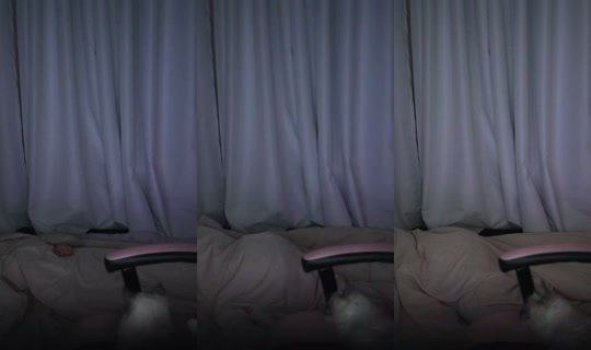 dbwls991's Live Session — Jul 27, 2026, 9:23 PM