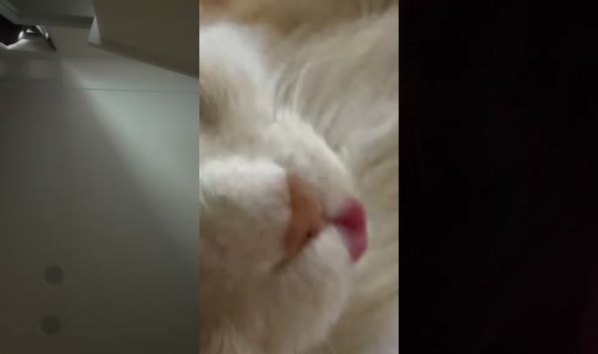 napunzzell's Live Session — Jul 9, 2026, 4:14 AM