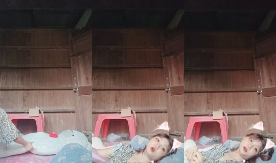 1029564486's Live Session — Aug 2, 2026, 3:54 AM