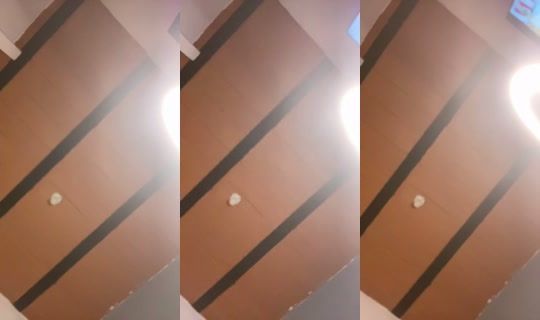 1035354170's Live Session — Jul 27, 2026, 3:23 AM