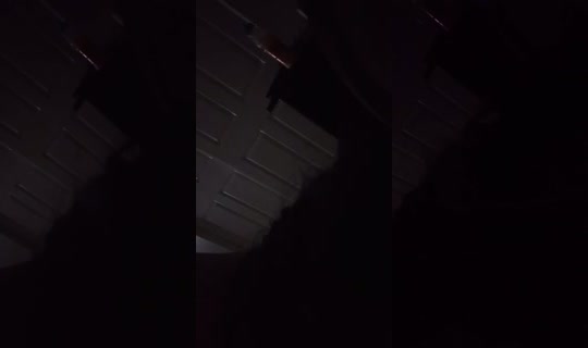 1084160155's Live Session — Aug 3, 2026, 7:03 AM