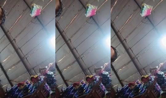 1113763616's Live Session — Jul 23, 2026, 8:03 PM