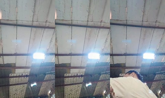 1113763616's Live Session — Oct 28, 2026, 1:48 PM