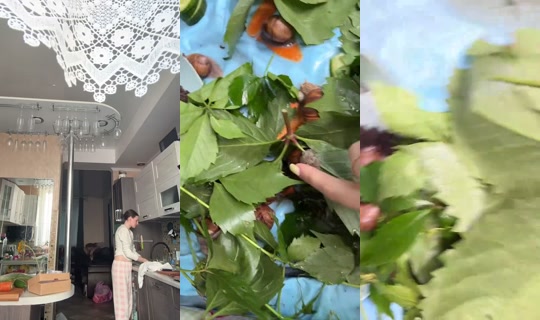 9332736690a's Live Session — Jul 31, 2026, 2:48 PM