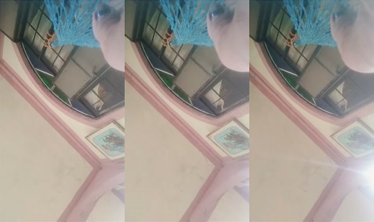 956085959's Live Session — Oct 23, 2026, 5:44 AM