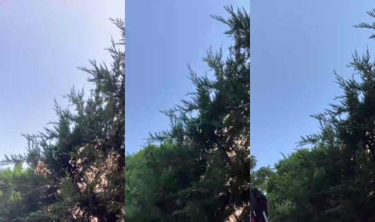 Birhayaledaldim's Live Session — Jul 25, 2026, 2:24 PM