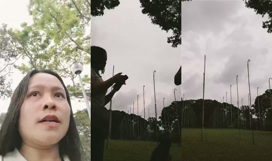 Chae2992's Live Session — Jul 26, 2026, 6:51 AM