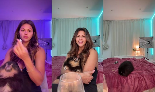 Fox.gostozinha's Live Session — Oct 19, 2026, 8:32 PM