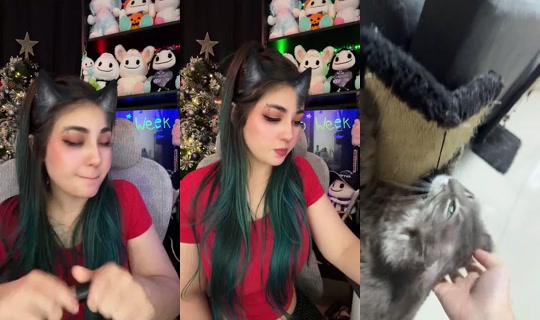 Kareenc's Live Session — Sep 13, 2026, 4:47 AM