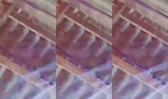 Menyuam's Live Session — Jul 28, 2026, 5:13 AM