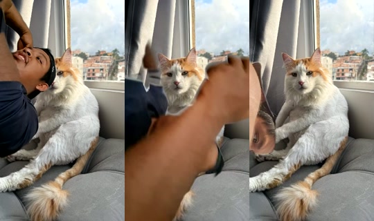 Molycita's Live Session — Jul 27, 2026, 11:29 PM