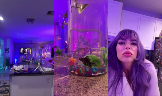 Sydneetheunicorn's Live Session — Jul 26, 2026, 6:03 AM