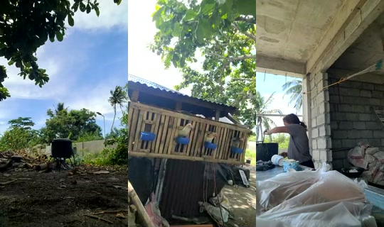 bels28's Live Session — Jul 22, 2026, 2:56 AM