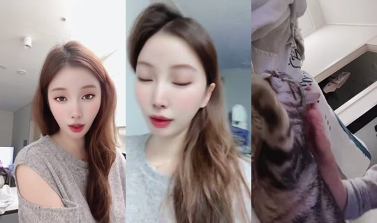 chohees's Live Session — Aug 1, 2026, 12:43 PM