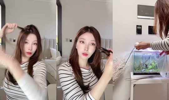 chohees's Live Session — Oct 20, 2026, 2:49 AM