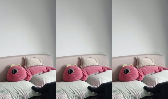 meo_o's Live Session — Oct 23, 2026, 8:34 AM