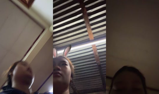 pui1185's Live Session — Jul 31, 2026, 1:44 PM