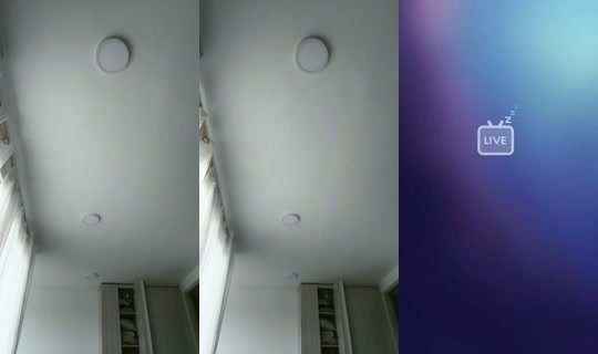 10299321's Live Session — Aug 20, 2026, 3:15 PM