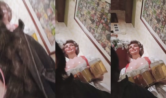 11654681's Live Session — Jul 15, 2026, 7:35 PM
