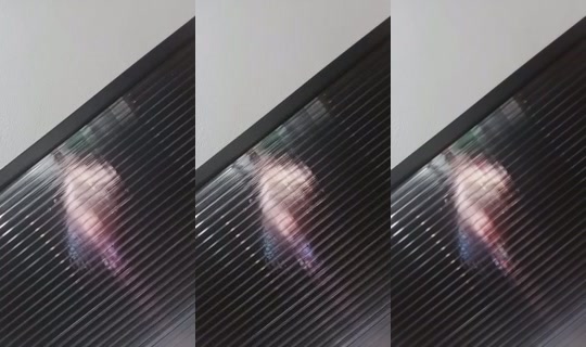 11654681's Live Session — Aug 8, 2026, 3:06 AM