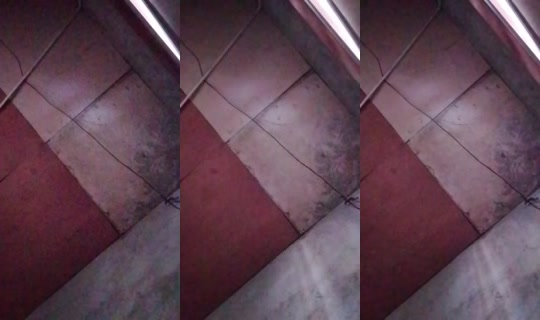 11670423's Live Session — Oct 20, 2026, 12:43 AM