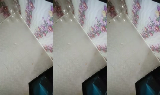 11687254's Live Session — Sep 13, 2026, 9:44 AM