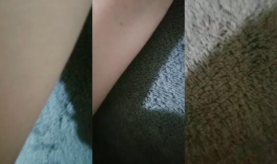 12357684's Live Session — Jul 26, 2026, 6:56 AM