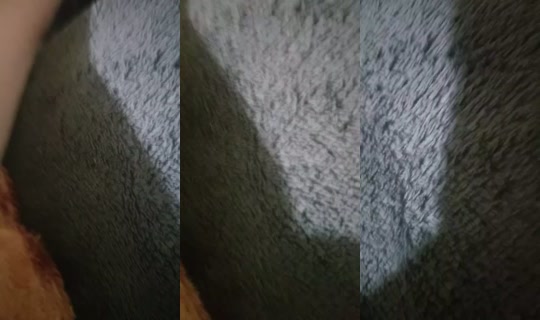 12357684's Live Session — Jul 26, 2026, 11:14 PM