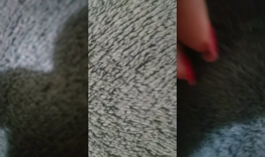 12357684's Live Session — Jul 27, 2026, 12:26 AM
