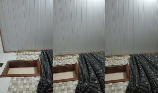 12595233's Live Session — Aug 20, 2026, 5:56 AM