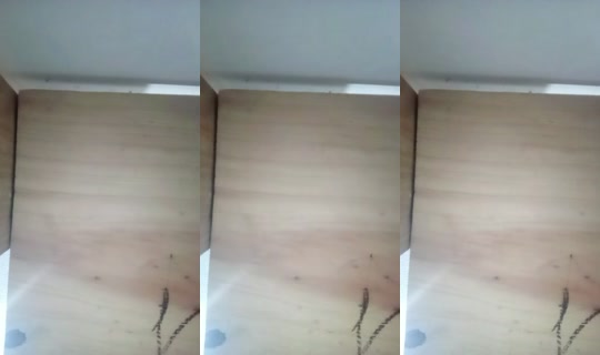 12898637's Live Session — Oct 19, 2026, 2:48 AM