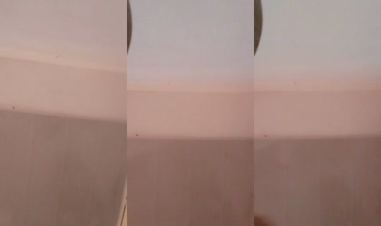 13661074's Live Session — Jul 25, 2026, 7:38 PM