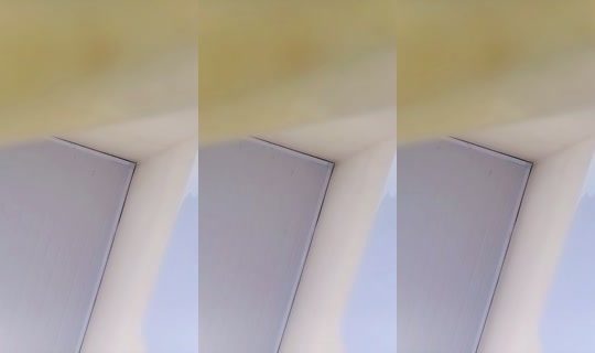 13726381's Live Session — Aug 18, 2026, 4:23 PM
