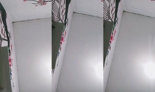 13777132's Live Session — Aug 18, 2026, 12:17 AM