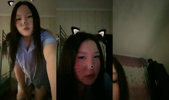 15268225's Live Session — Sep 14, 2026, 3:39 PM