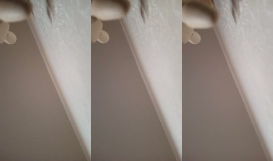 15488715's Live Session — Jul 23, 2026, 6:33 AM