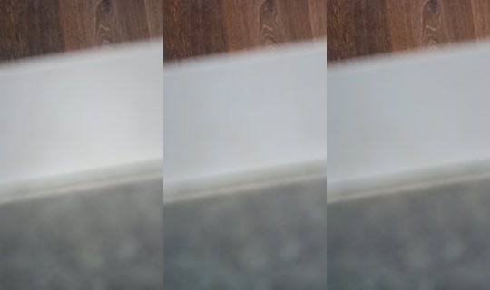 15488715's Live Session — Jul 25, 2026, 3:21 PM