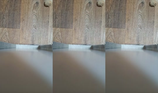 15488715's Live Session — Oct 20, 2026, 5:27 PM