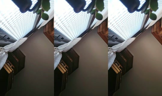 15892026's Live Session — Jul 28, 2026, 9:20 AM