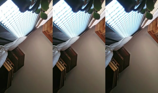 15892026's Live Session — Jul 28, 2026, 11:01 AM