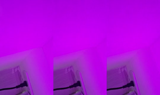 16513788's Live Session — Jul 30, 2026, 5:47 PM
