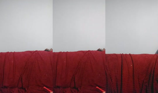 16786073's Live Session — Sep 13, 2026, 10:45 PM