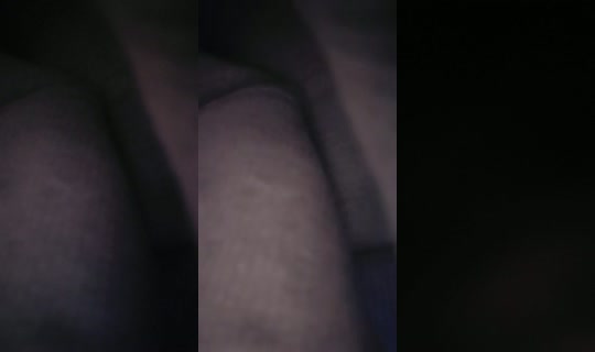 16952215's Live Session — Sep 8, 2026, 4:40 AM