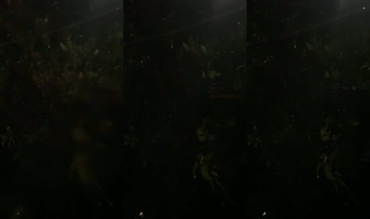 16999131's Live Session — Jul 26, 2026, 9:46 PM