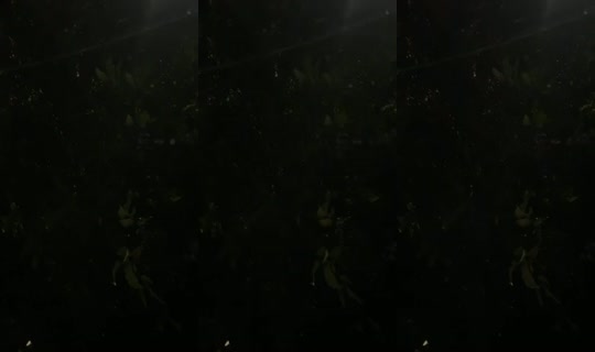 16999131's Live Session — Jul 26, 2026, 11:27 PM
