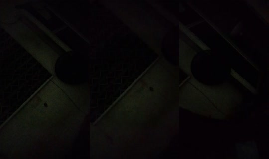 17235112's Live Session — Jul 22, 2026, 10:37 PM