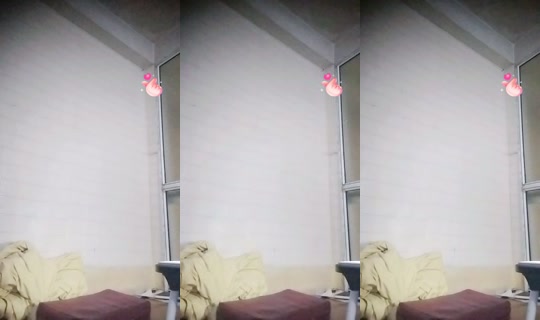 17391494's Live Session — Oct 20, 2026, 11:26 AM