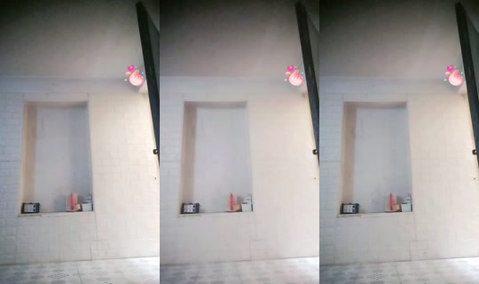 17391494's Live Session — Oct 21, 2026, 4:25 AM