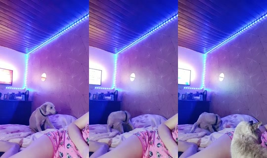 1760421's Live Session — Sep 13, 2026, 4:46 AM