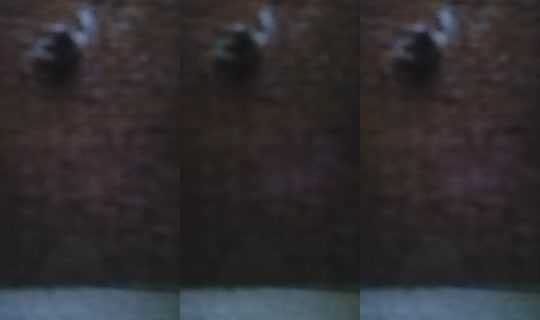 17631071's Live Session — Jul 15, 2026, 7:31 AM